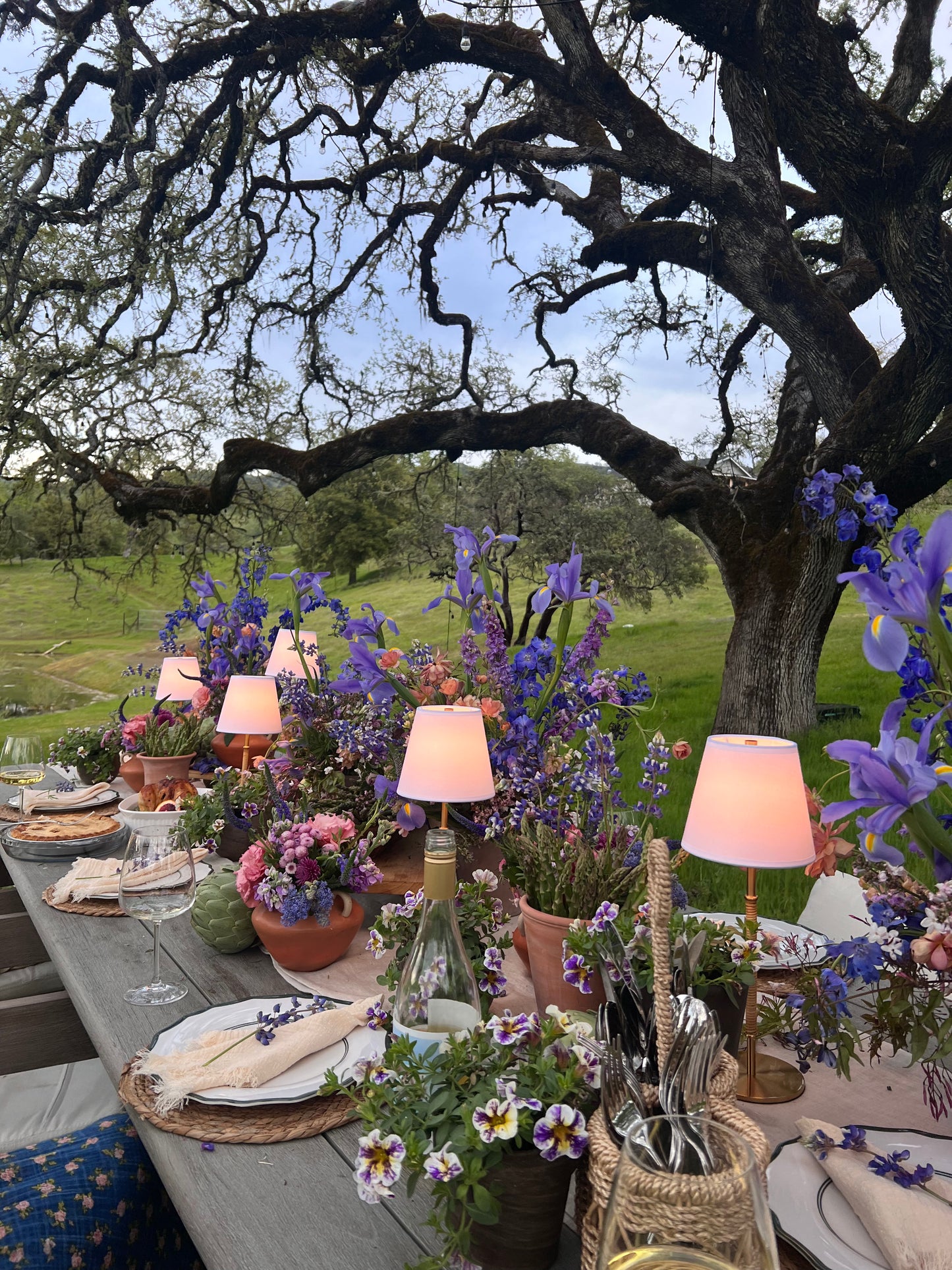 Tally Lamp Rental- Rechargeable Event Lamp